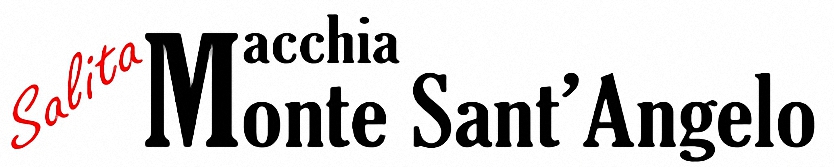 Logo SalitaMacchiaMSA